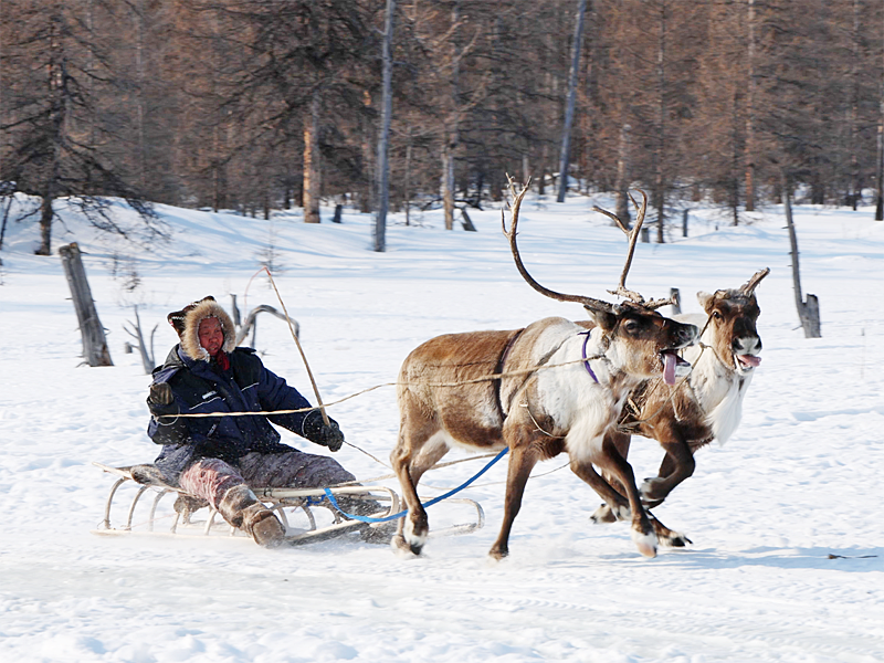 Старты в хозяйстве Етылина
