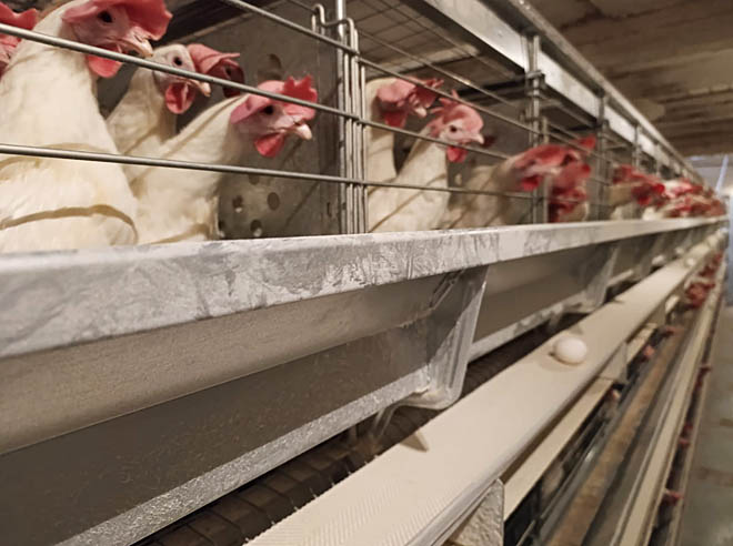 Резидент продбезопасности