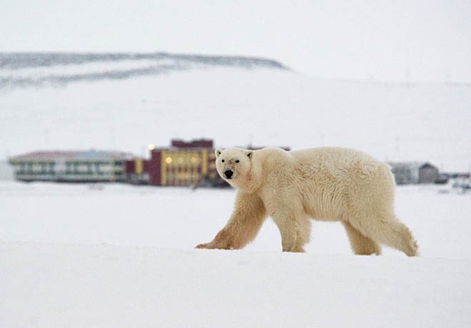 Умный подход к умке