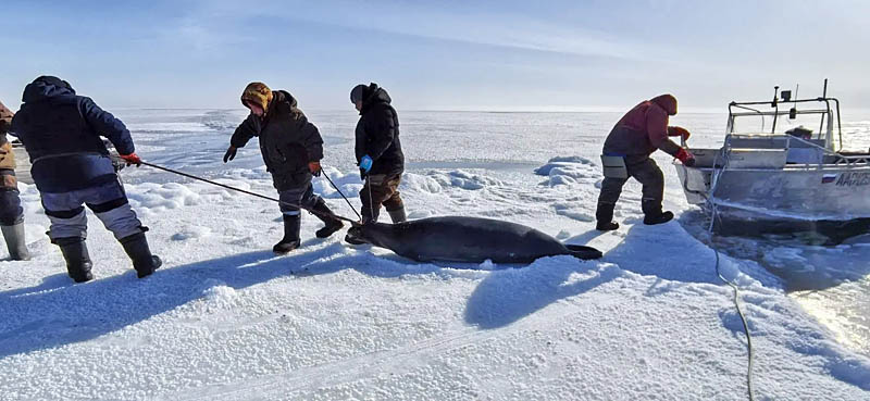 Из моря вернулись с трофеями