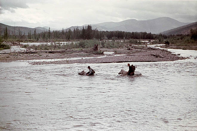 Как кони трудились с людьми