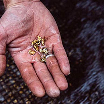 ПО СЛЕДАМ ЗОЛОТОГО ОЛЕНЯ