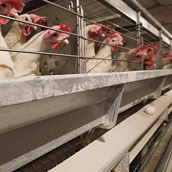 Резидент продбезопасности