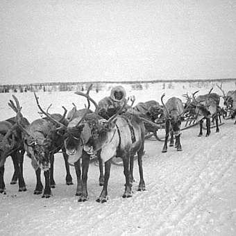 Великий перегон