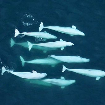 Новые знания и свершения