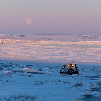 Арктическое солнцестояние