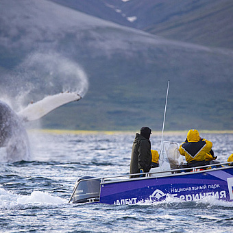 Водный бум в «Берингии»
